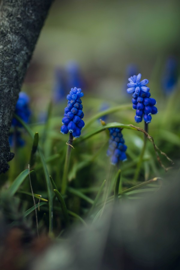 Wyróżnienie w Ogólnopolskim Konkursie Fotograficznym